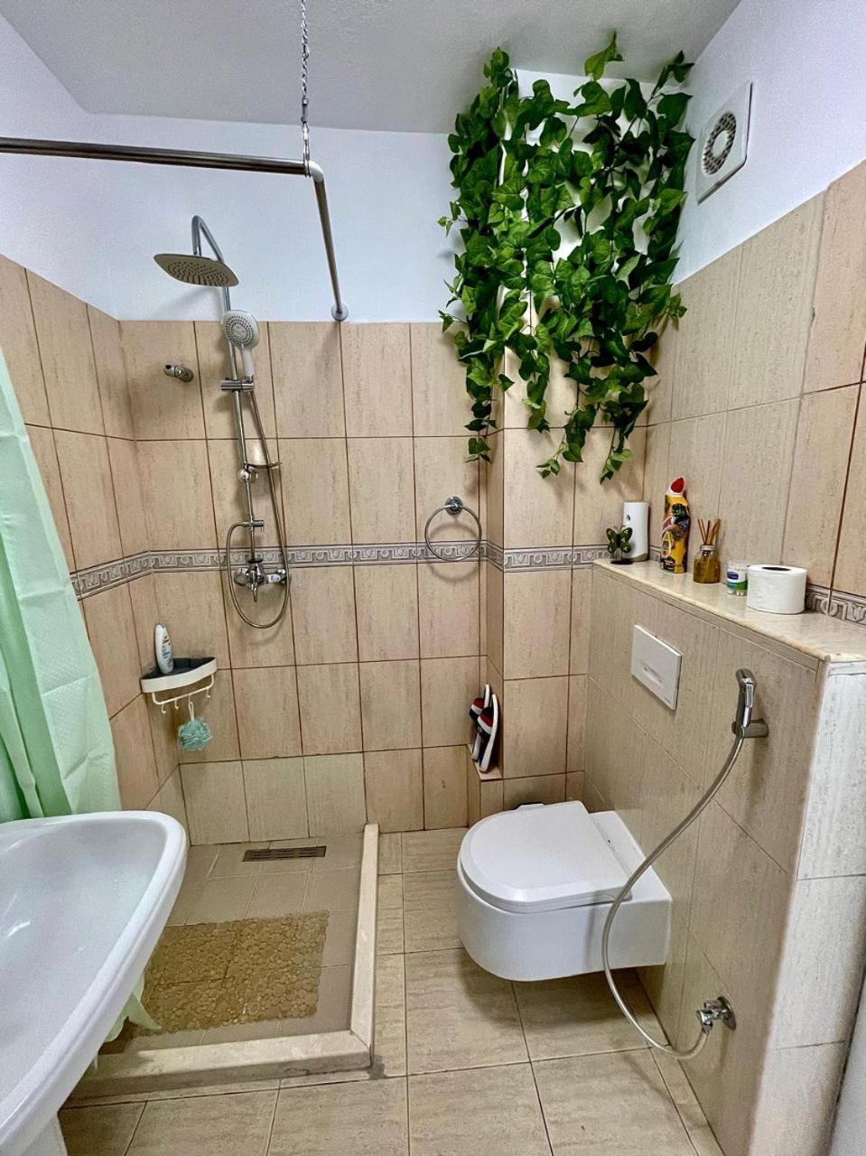 Flex Apartment Tirana Kültér fotó