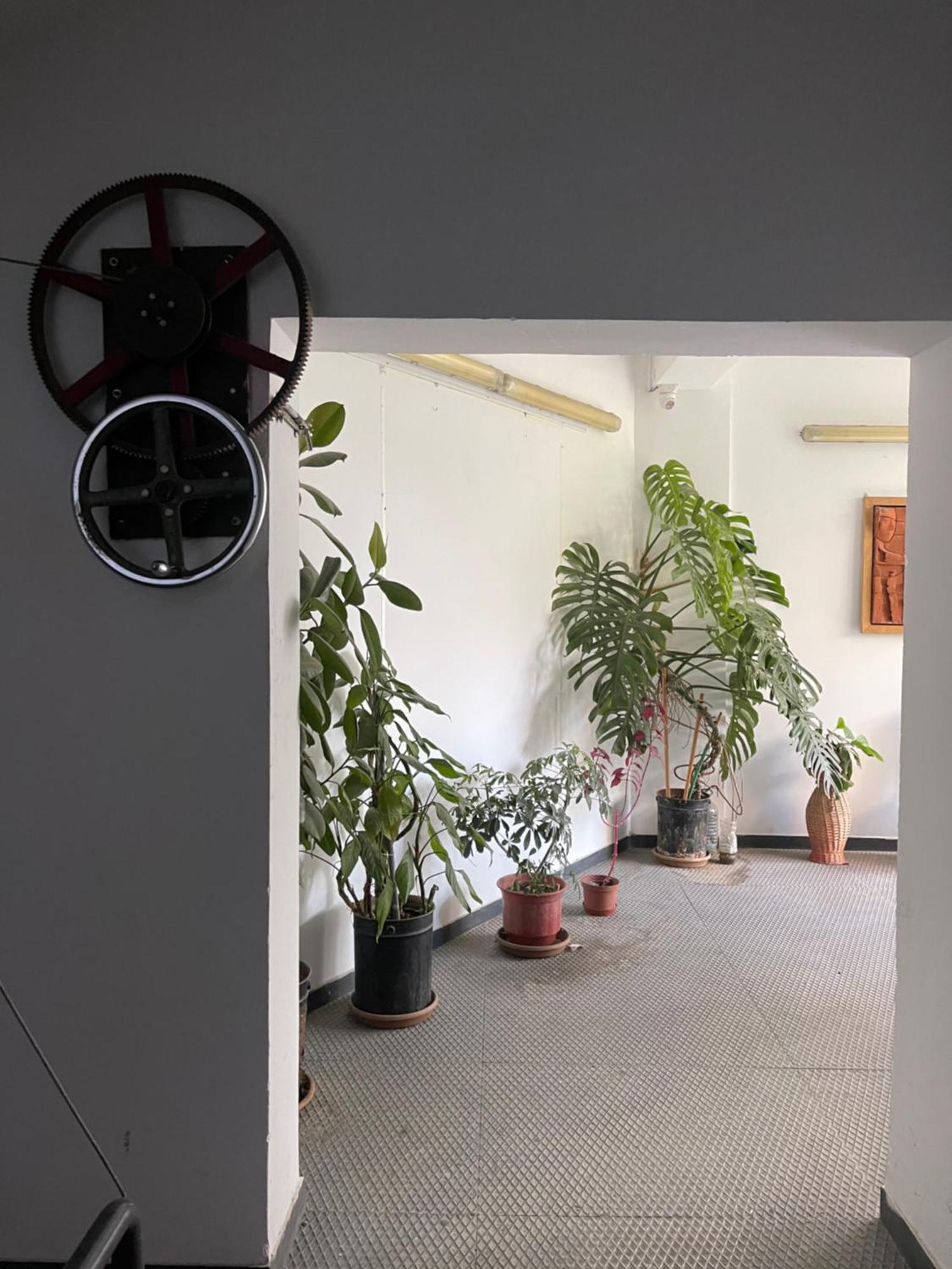 Flex Apartment Tirana Kültér fotó